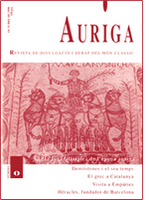 20100207025332-auriga.png